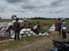 Menggema di Sragen! Aksi Nyata Koptu Agus Dwi dan Koramil Gesi Kawal Panen Raya Petani