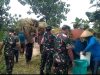 Babinsa Plumbungan Kawal Panen MT III, Berkah Petani yang Mengubah Jerih Payah Menjadi Senyuman