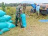 Panen Padi di Guworejo Jadi Momentum, Babinsa Karangmalang Perkuat Sinergi dengan Petani
