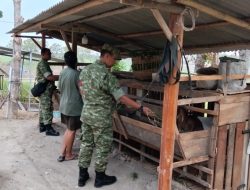 Jaga Lingkungan Tetap Asri, Babinsa  Ingatkan Peternak Kambing Antisipasi Bau Kandang