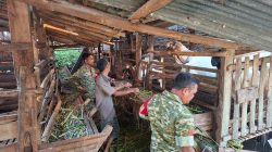 Dari Kandang Kambing, Babinsa Peleman Perkuat Kedekatan dengan Peternak Desa